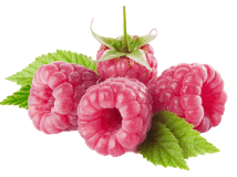 RASPBERRY