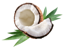 COCONUT OIL